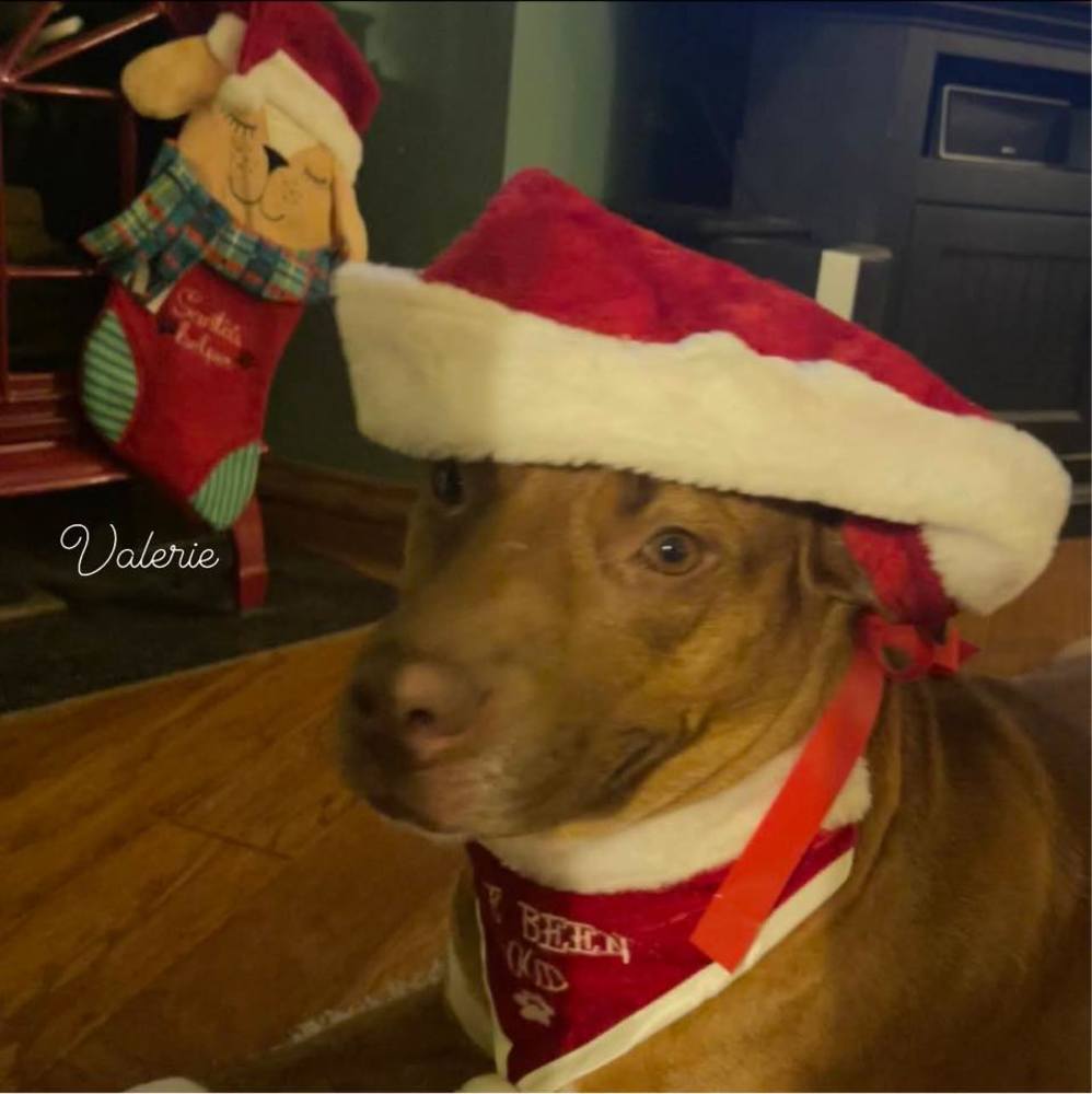 Meet your Posher, Beckie